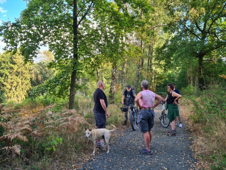 Waldspaziergang in Hennef Geistingen